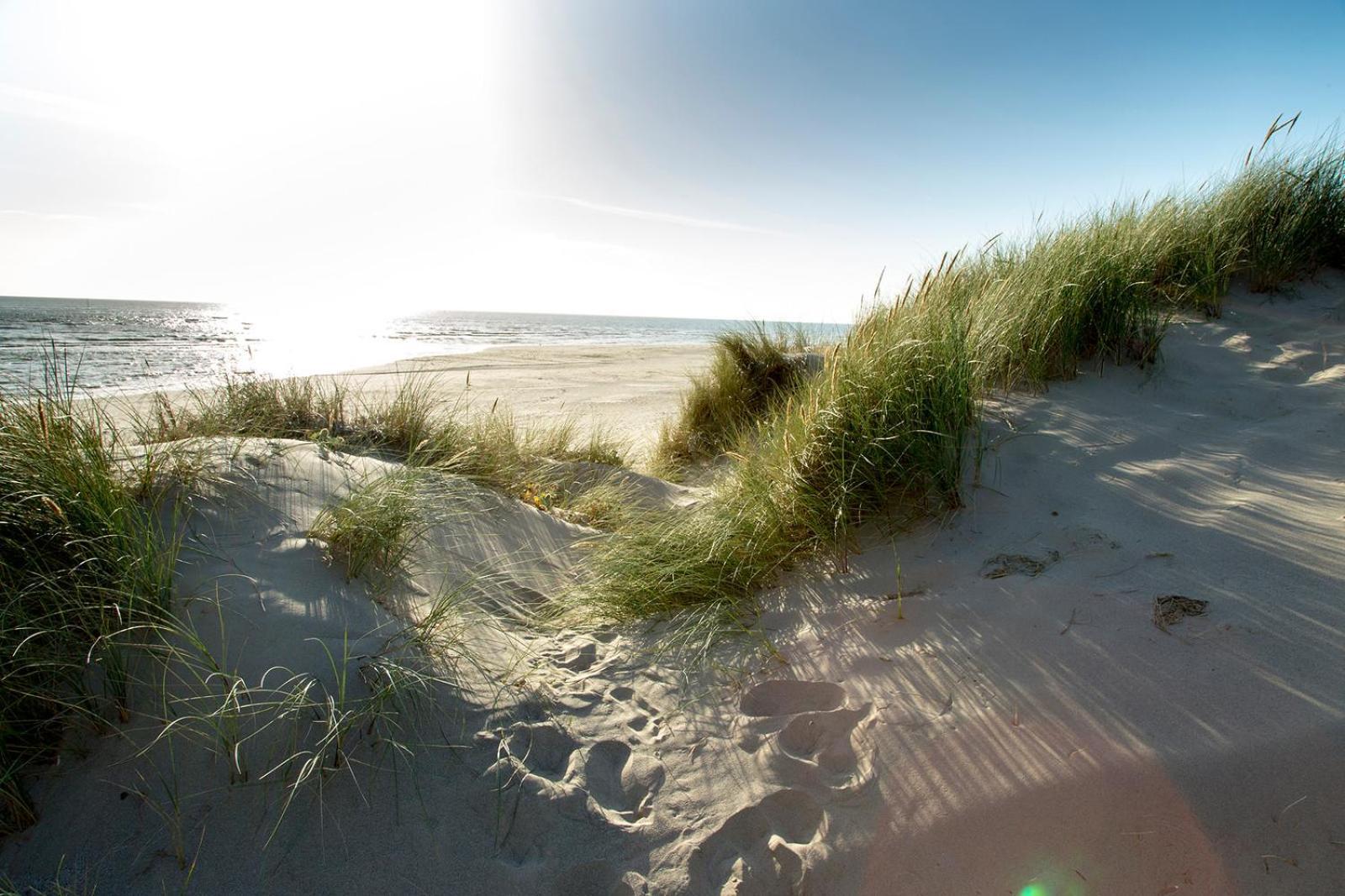 Barmouth Bay Holiday Park Llanddwywe ภายนอก รูปภาพ